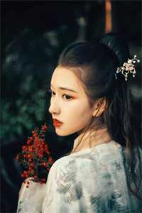 谢律白芝的小说失落黄昏夜寂深免费阅读